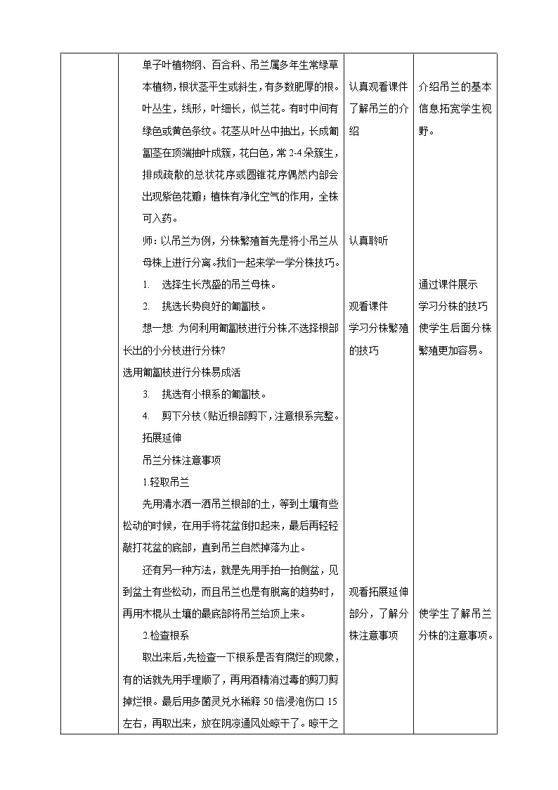 浙教版七下劳动 项目二任务二《花卉的分株繁殖》教案第2页
