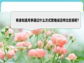 浙教版七下劳动 项目二任务三《花卉的扦插繁殖》课件+教案