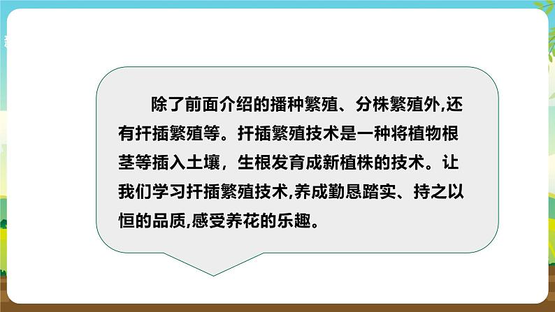 浙教版七下劳动 项目二任务三《花卉的扦插繁殖》课件第5页