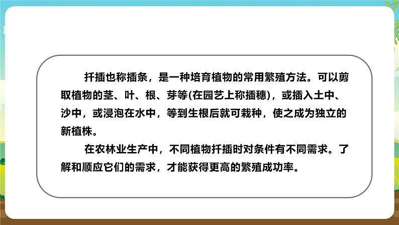 浙教版七下劳动 项目二任务三《花卉的扦插繁殖》课件第7页