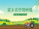 浙教版八下劳技 项目二任务一《家乡农作物种植》课件+教案