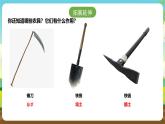 浙教版八下劳技 项目二任务一《家乡农作物种植》课件+教案
