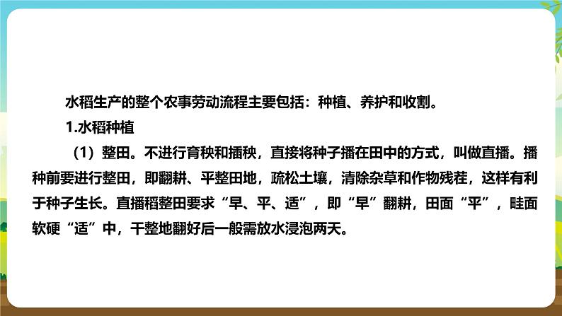 浙教版八下劳技 项目二任务一《家乡农作物种植》课件第8页