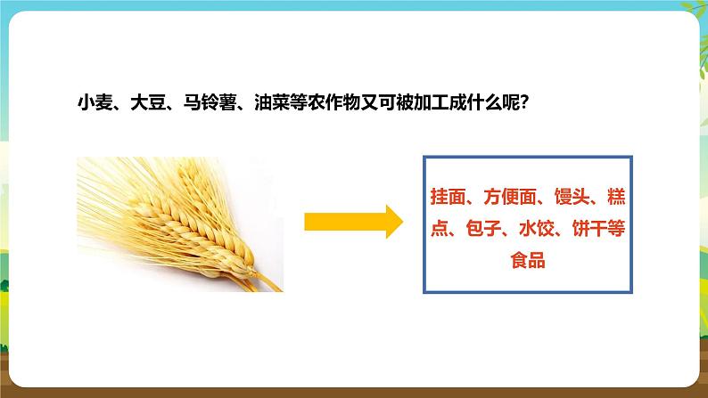 浙教版八下劳技 项目二任务二《家乡农产品加工》课件第6页