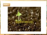 【核心素养目标】湘人版九下劳技  任务二 项目一《认识有机肥》课件+教案+素材