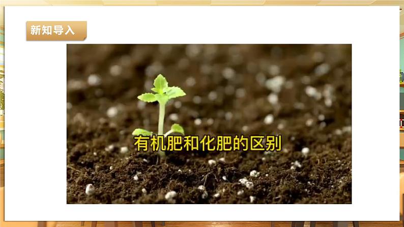 【湘人版劳动实践】九年级下册任务二项目1《认识有机肥》第5页