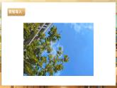 【核心素养目标】湘人版九下劳技  任务六 项目一《策划活动方案》课件+教案+素材