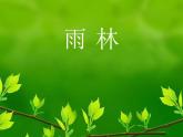 人教版音樂八年級上冊：雨林 課件