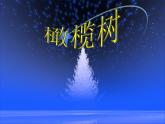 人教版音乐八年级上册：橄榄树 课件