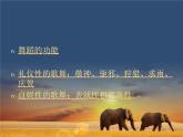 人教版音樂八年級上冊：鼓的語言 課件