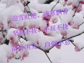 人教版音樂八年級上冊：踏雪尋梅 課件 +音頻