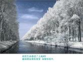 人教版音乐八年级上册：我爱你，塞北的雪 课件+素材（图片+文字）