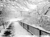 人教版音乐八年级上册：我像雪花天上来 课件+素材（图片）