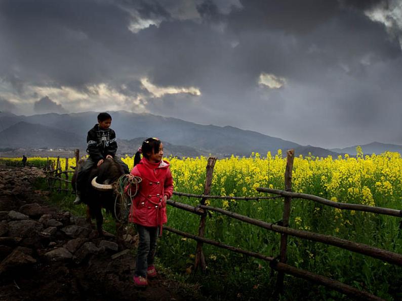 乡间的小路 课件+音频04