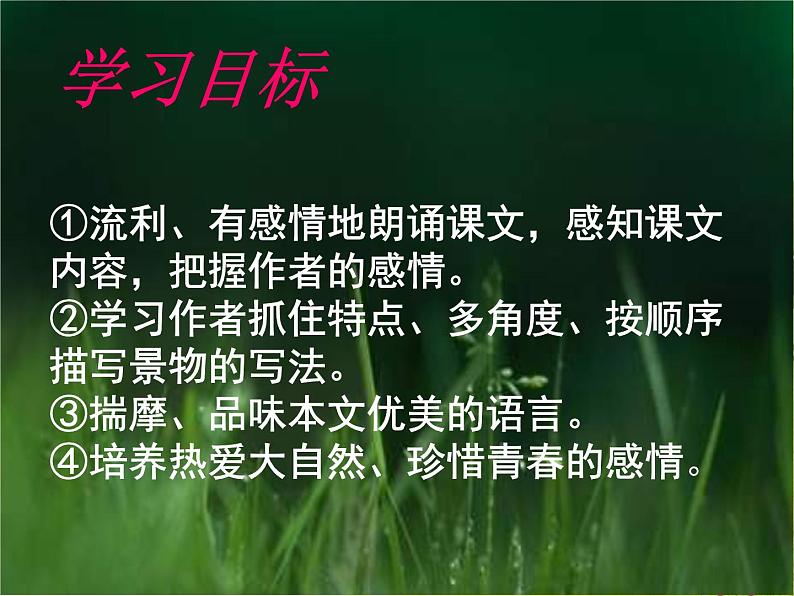 部编人教版初中语文七年级上册第一单元《春》上课PPT06