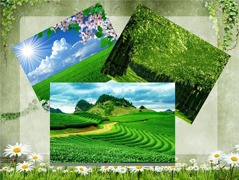 七年级上册语文课件-1春 课件-部编版（2016）第4页