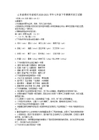 山东省潍坊市诸城市2020-2021学年七年级下学期期末考试语文试题（word版 含答案）