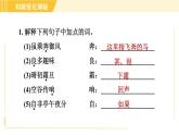 部编版八年级上册语文习题课件 第3单元 10. 三峡