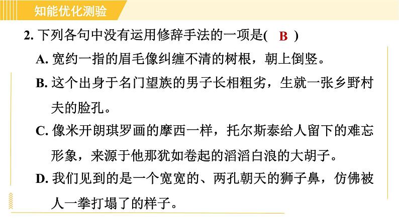 部编版八年级上册语文习题课件 第2单元 8. 列夫·托尔斯泰08