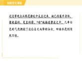 部编版八年级上册语文习题课件 第1单元 3. “飞天”凌空——跳水姑娘吕伟夺魁记