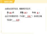 部编版八年级上册语文习题课件 第1单元 2. 首届诺贝尔奖颁发