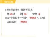 部编版八年级上册语文习题课件 第1单元 4. 一着惊海天—目击我国航母航载战斗机首架次成功着舰