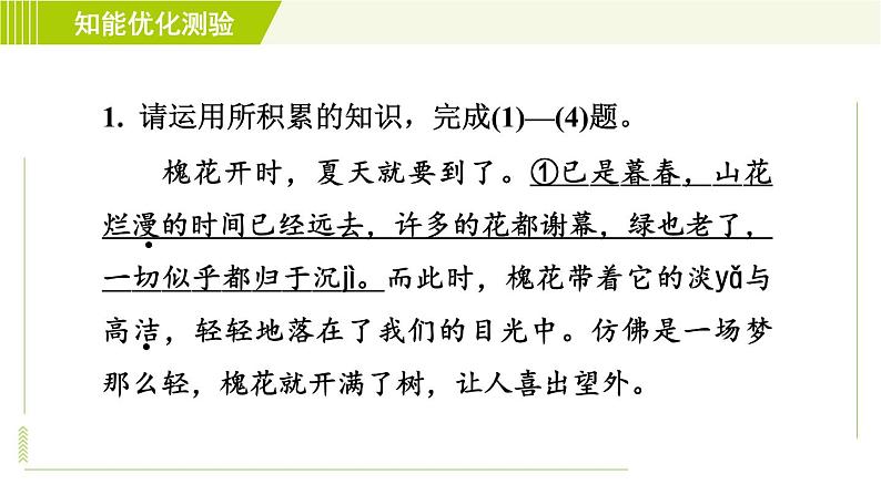 部编版七年级上册语文习题课件 第2单元 5. 秋天的怀念004