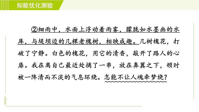 部编版七年级上册语文习题课件 第2单元 5. 秋天的怀念005