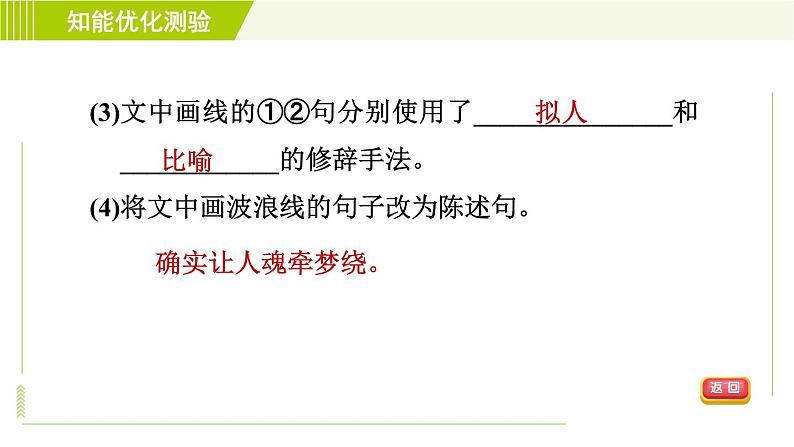 部编版七年级上册语文习题课件 第2单元 5. 秋天的怀念007
