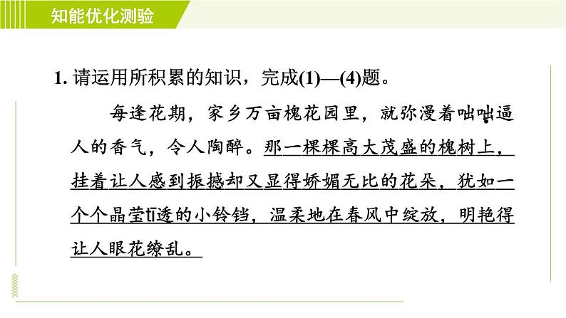 部编版七年级上册语文习题课件 第1单元3. 雨的四季04