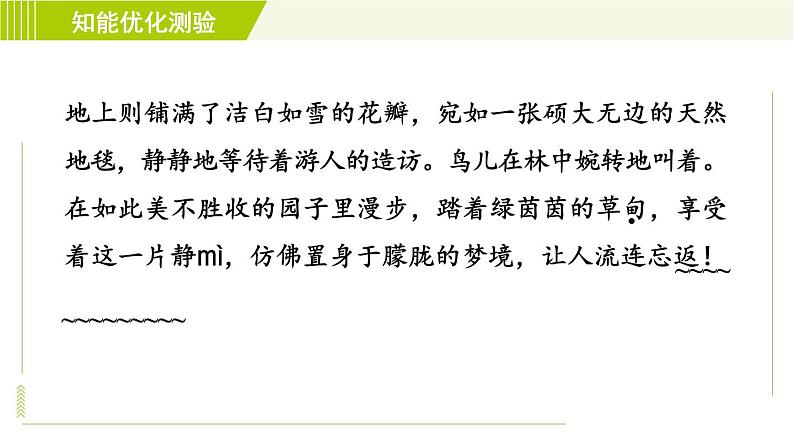 部编版七年级上册语文习题课件 第1单元3. 雨的四季05