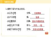 部编版八年级上册语文习题课件 第3单元 11. 短文二篇