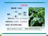 部编人教版七年级语文上册第一单元写作《热爱生活热爱写作》教学课件PPT优秀公开课