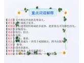 3.雨的四季 课件-2021-2022学年七年级语文部编版上册