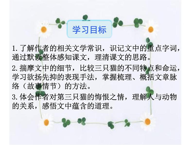 16.猫 课件-2021-2022学年七年级语文部编版上册第3页