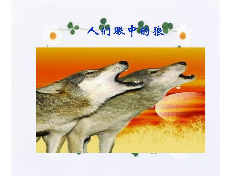 18.狼 课件-2021-2022学年七年级语文部编版上册第2页