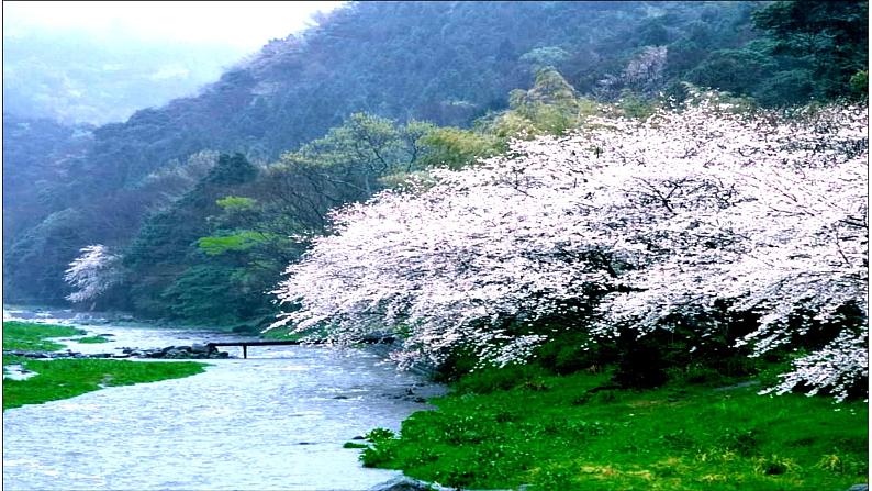 部编版八年级下册  《桃花源记》语文课件第4页