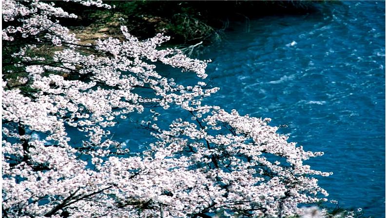 部编版八年级下册  《桃花源记》语文课件第7页