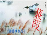 部编版八年级下册 《诗经二首 蒹葭》语文课件 (1)