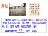 部编版八年级下册 《诗经二首 蒹葭》语文课件 (1)