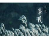 部编版八年级下册 《诗经二首 蒹葭》语文课件 (1)