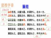 部编版八年级下册 《诗经二首 蒹葭》语文课件 (1)