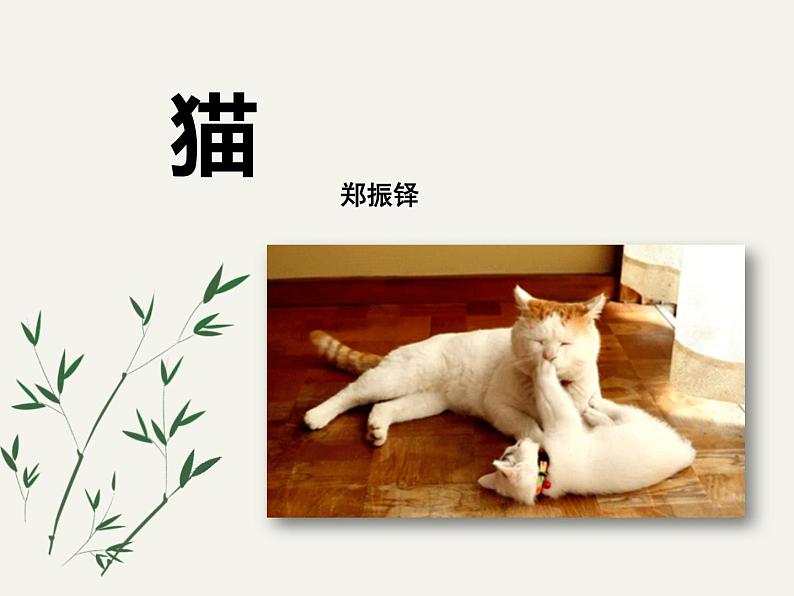 部编版语文七年级上册 第16课《猫》课件（共38张PPT）01