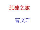 部编版语文九年级上册 第16课《孤独之旅》课件（共29张PPT）