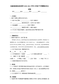 安徽省铜陵市铜官区2020-2021学年七年级下学期期末语文试题（word版 含答案）