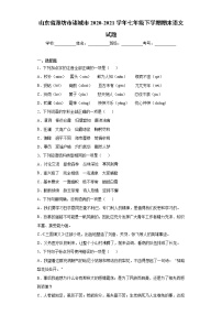 山东省潍坊市诸城市2020-2021学年七年级下学期期末语文试题（word版 含答案）