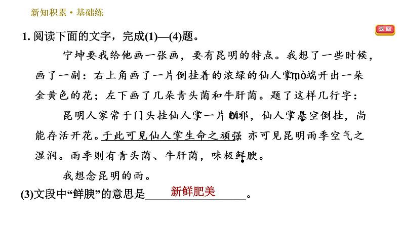 部编版八年级上册语文习题课件 第4单元 17 昆明的雨第6页