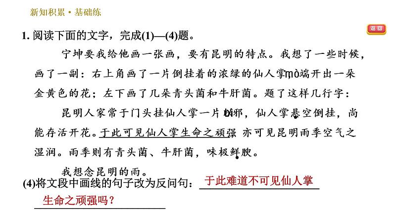 部编版八年级上册语文习题课件 第4单元 17 昆明的雨第7页