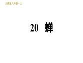 部编版八年级上册语文习题课件 第5单元 20 蝉