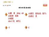 部编版八年级上册语文习题课件 第5单元 20 蝉